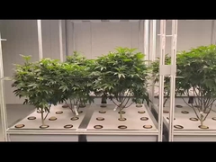 ग्रीनहाउस एयरोपोनिक्स हाइड्रोपोनिक्स सिस्टम